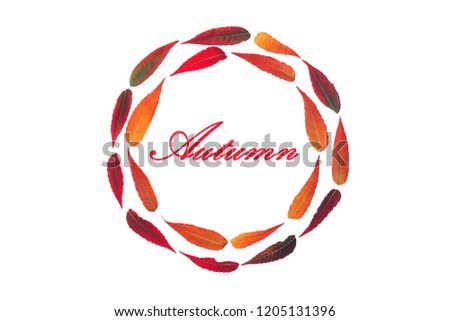 round frame of bright autumn leaves isolated on white background with inscription Autumn top view flat lay