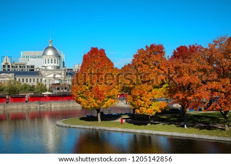 View of Bonsecours Market in old port of Montreal with orange maple trees 