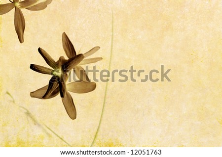 lovely light brown background image with interesting texture, floral elements and plenty of space for text