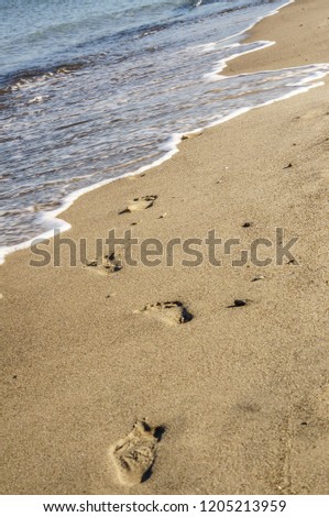 foot steps in sand on the Baltic Sea beach