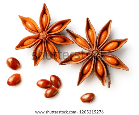 star anise isolated on the white background, top view Royalty-Free Stock Photo #1205215276
