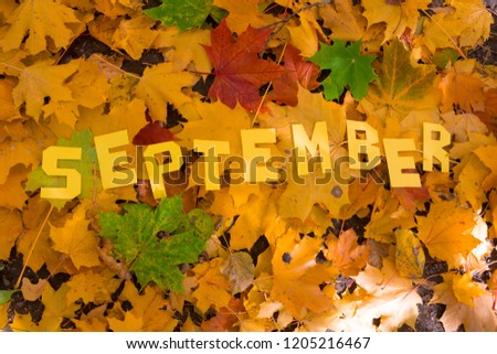 The word September made by letters on the leaves