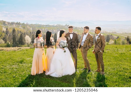 Portrait of newlywed couple having fun with bridesmaids and groomsmen in green sunny park. Before wedding ceremony. Behind blue sky and mountains