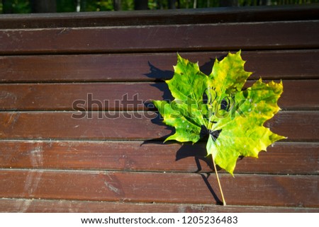 Beautiful autumn leaf with smile in the park