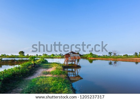 Floods during rainy season in the monsoon areas of Thailand, Laos, Myanmar, Vietnam, Cambodia, Southeast Asia, huts and trees in the middle of the water, while the evening sun reflects the water 