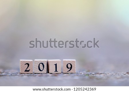 2019 Text New Year On Wooden Cubes On Soft Blur Background