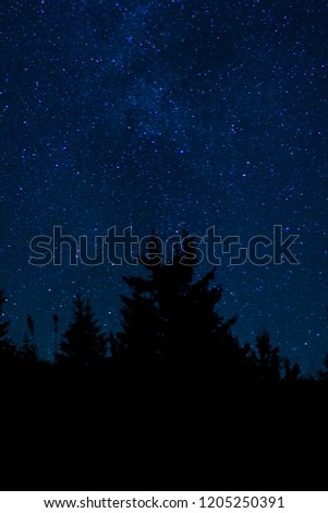 Long Exposure of silhouetted trees at night with a starscape behind it. Clear Night sky with a good view of the stars behind conifer trees. Photo taken on a autumn night in the mountains.