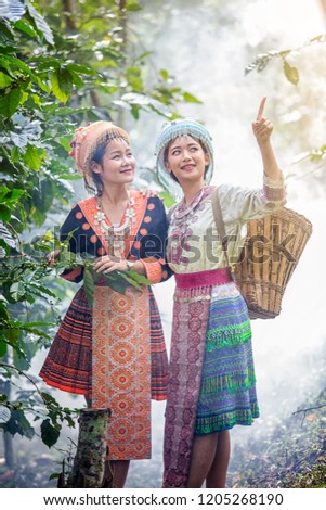 Hmong hill tribe keep coffee in Chiang Mai Thailand
