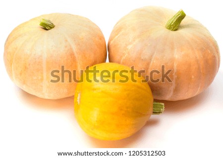 Small and big pumpkins close up on a white background