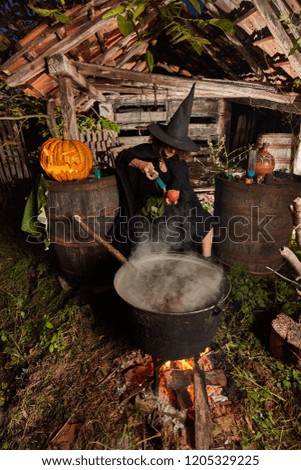 Witch boiling spells in a cast iron black pot in her shed