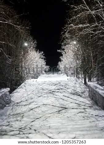 Alley on a snowy winter night. Lighted staircase leading down. Trees covered with thick layer of snow. New year mood, Christmas winter picture.