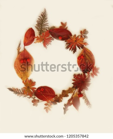 Happy fall Greeting Card wreath frame  with Text / Autumn  Leaves  and acorns Pattern