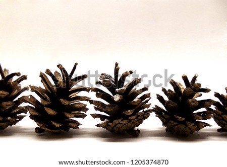 Some really great cones. Perfect natural winter decoration.