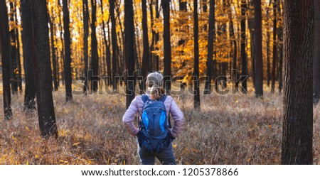 Woman hiking in forest at autumn season. Traveler with backpack in woodland. Panoramic picture
