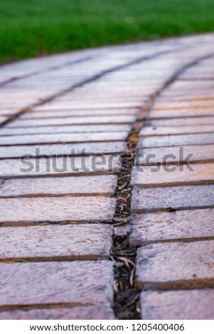 Wet brick walkway