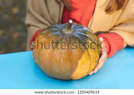 Pumpkin in female hands on outdoor autumn  background with copy space . Flat lay, top view , fall autumn concept