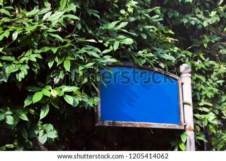 Empty Street Name Sign in Chengdu China in front of Bushes and Plants Trees.