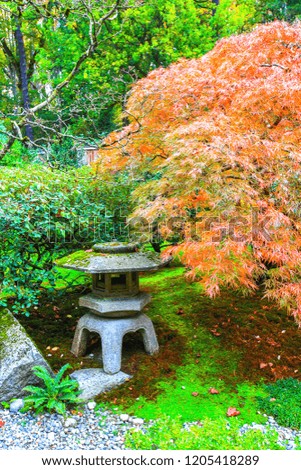 Japanese Garden in Autumn 