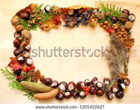 Beautiful autumn. Autumnal frame for your idea and texts. Fallen fruits and seeds in autumn, along the perimeter of the frame on a wooden rustic background. Picture of the autumn.