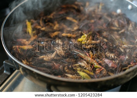 pan roast insects  healthy meal high protein 