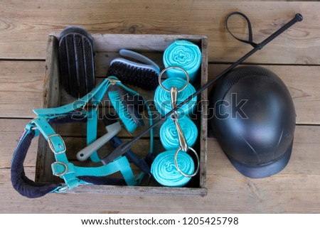 Equipment for horse care and riding: brushes of various sizes and purposes, bridle, whip, helmet, bandages Royalty-Free Stock Photo #1205425798
