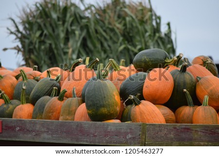 green and orange pumpkins