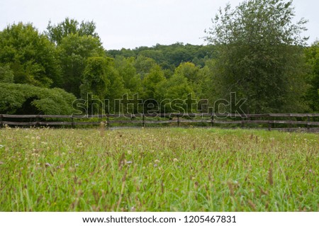 Beautiful hay field on a horse farm in upstate New York. Shot in late summer / early fall