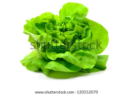 Lettuce Royalty-Free Stock Photo #120552070