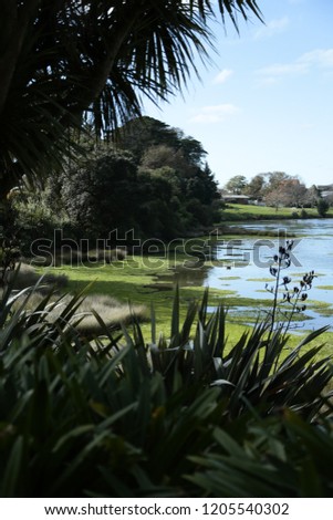 A view of the Pahurehure inlet.  Taken in Papakura, Auckland, New Zealand. Royalty-Free Stock Photo #1205540302