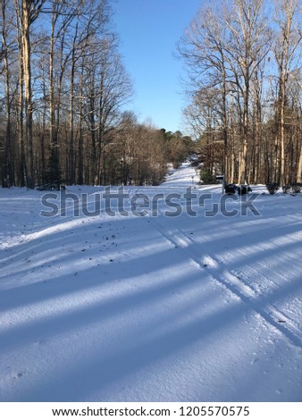 Photos of winter snow with trees