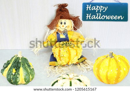 Colorful thanksgiving, halloween, autumn,fall, seasons greetings concept background with a scarecrow 