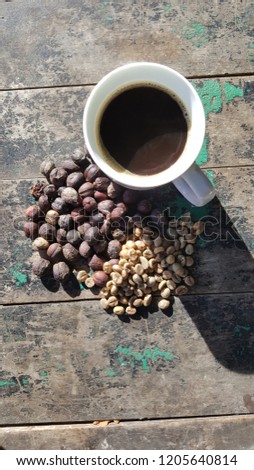coffee seed bean morning