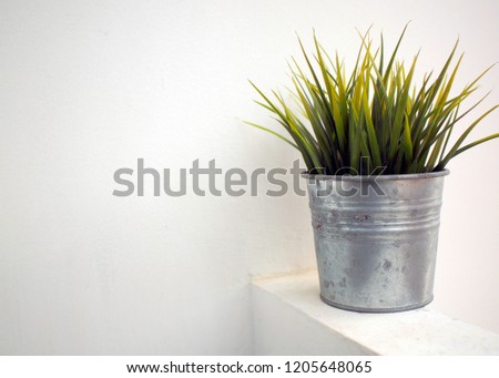 Plant Pot Background