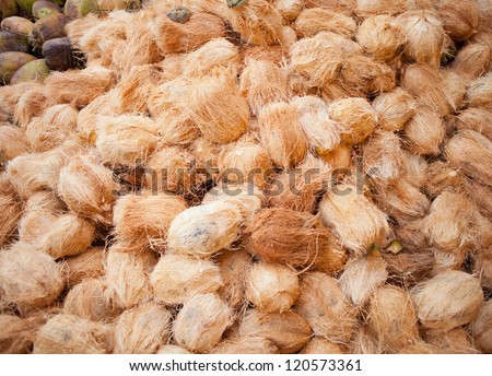 Coconuts pile