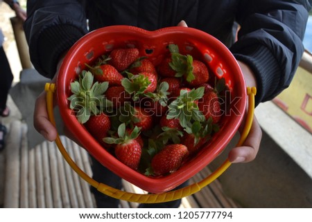 a man who is giving a heart-shaped bucket of strawberries