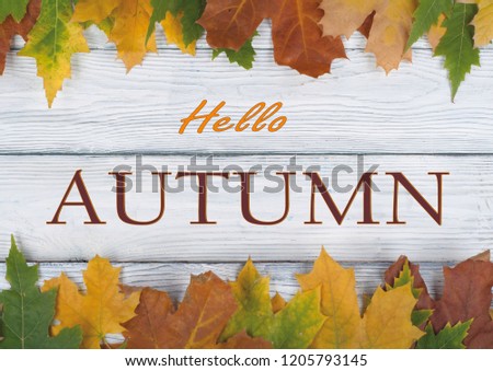Background with red, orange, brown and yellow falling autumn set leaves