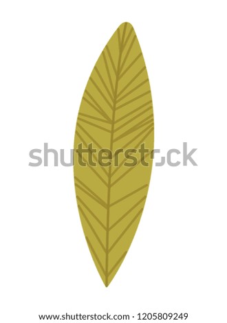 beautiful leafs isolated icon