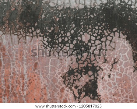 Picture of cracked interior paint with crack and lemon grass stains