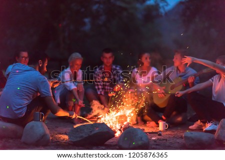 a group of happy young friends relaxing and enjoying  summer evening around campfire on the river bank Royalty-Free Stock Photo #1205876365