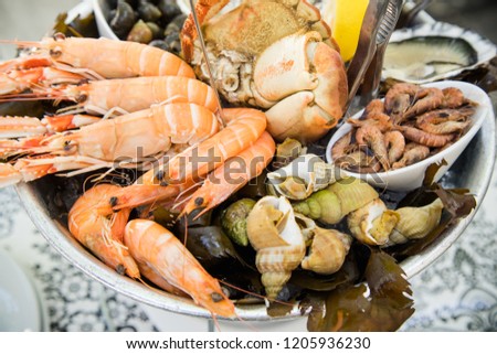 Plate with fresh assorted seafood in french summer restaurant. Close up image Royalty-Free Stock Photo #1205936230