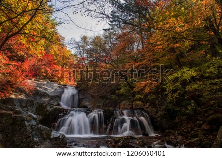 Beautiful autumn waterfall,red and yellow colorful tree leaves with stream of mountain.