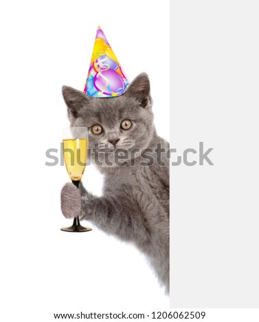 cat in birthday hat holding glass of champagne behind empty white banner. isolated on white background