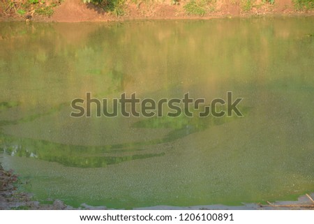 water in pond near village farms