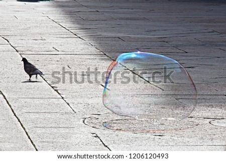 transparent shiny glossy giant soap-bubble lying on ground