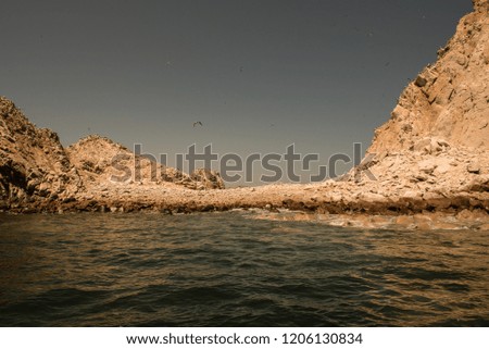 Birds fly around a rock formation in the Paracas Nature Reserve  in Peru.