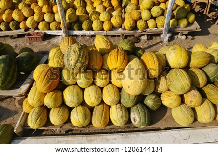 yellow melon on bench