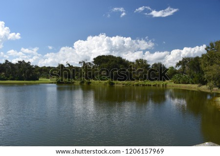 A photo of a lake in Palm Coast, Florida.