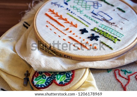 Background with embroidery cloth in embroidery frame, types of embroidery done by hand. Presenting different type of stitches. Embroidery process. Needlework (performed by the author of the images). Royalty-Free Stock Photo #1206178969
