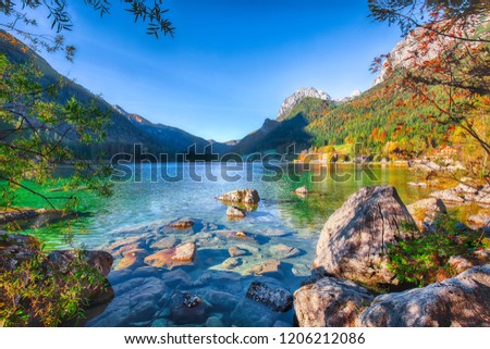 autumn sunrise of Hintersee lake. Beautiful scene of trees near turquoise water of Hintersee lake. Location: resort Ramsau, National park Berchtesgadener Land, Upper Bavaria, Germany Alps, Europe