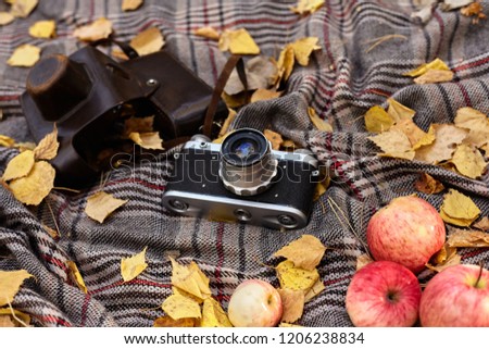 Picnic in the autumn forest. Apples, old camera, yellow leaves and a warm blanket.